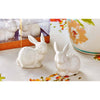 Salt & Pepper - White Bunny Set