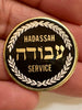 Estate Collection - Vintage Hadassah Service Brooch