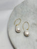 Earrings - Baroque Pearl on Gold Wire