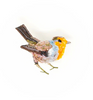 Trovelore Birds & Feather Brooches