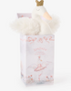 Baby - Anastasia the Swan in Box