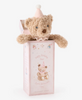 Baby - Pink Birthday Bear in Box