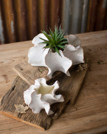 Planter - Ceramic Organic Planters