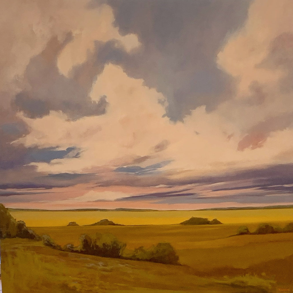 "Big Sky" by Sandy Hodgson