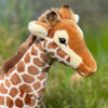 Gigi The Giraffe