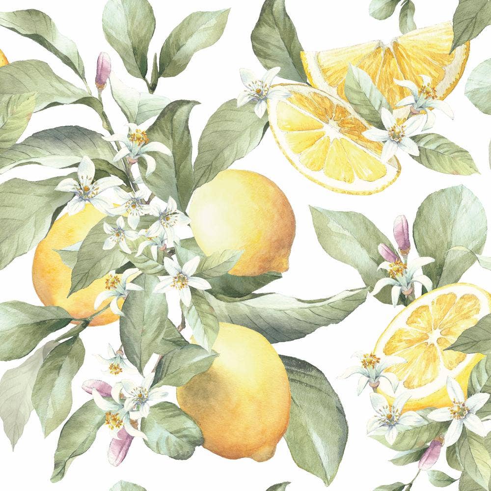 Beverage Napkins -Limoni