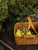 Basket - Naomi's Gardening Basket | Handwoven Heirloom