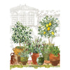 Hand Towel - Jardin Provencal Olive Kitchen Towel