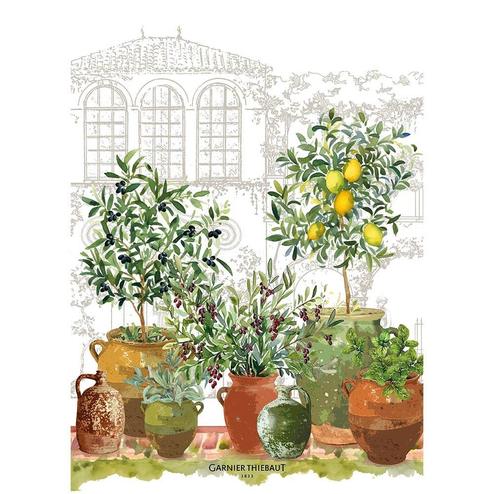 Hand Towel - Jardin Provencal Olive Kitchen Towel