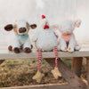 Clucky the Chicken