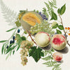 Napkins - Abondance D'Automne Napkins - Set of 4