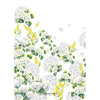 Hand Towel - Annabelle Mimosa Kitchen Towel