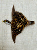 Estate Collection - Brooch - Feather Bird