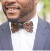 Bow Tie - Brown Feathers w/Lapen Pin Set