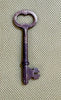 Estate Collection - Steel Key