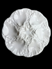 Estate Collection - Vintage Portuguese White Oyster Plates