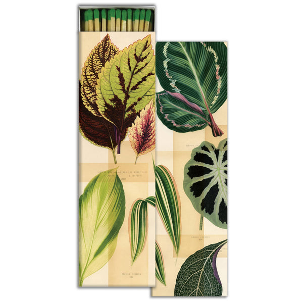 Match - Garden Foliage