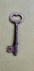 Estate Collection - Steel Key