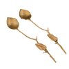 Peach Pit Spoon Set - Set of 2