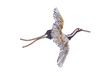 Trovelore Birds & Feather Brooches