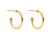 Earrings - Aurora Hoop w/Reversible Charm