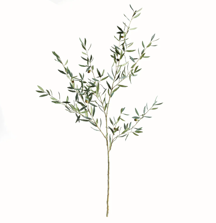 Olive Branches