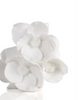 Vases - Cameo Porcelain Vases - 4 Styles