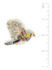 Trovelore - Zebra Finch