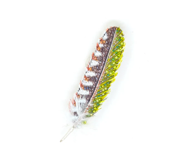 Trovelore - Woodpecker Feather