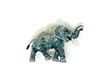 Trovelore Brooch - Forest Elephant Brooch Pin