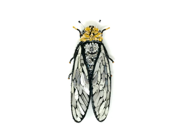 Trovelore - Walker-s Cicada Brooch Pin