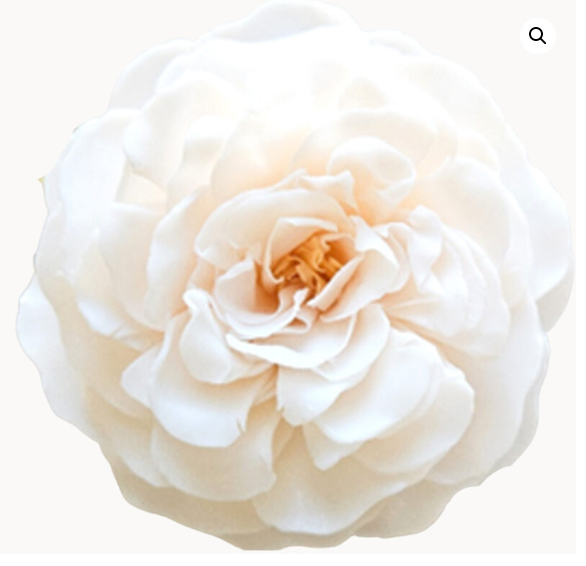 Handmade Petal Soap Flowers - Heart of Wisdom