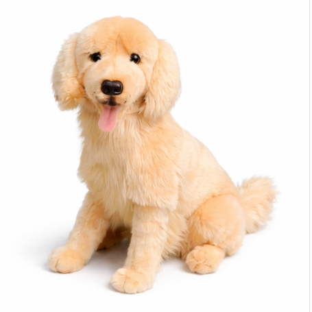 Charlie Golden Retriever