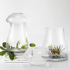 Glass Mushroom Terrarium
