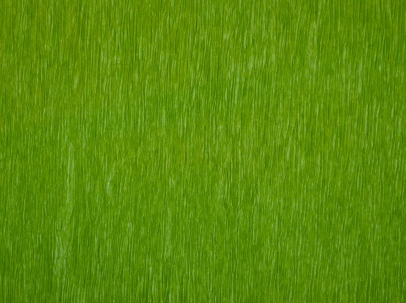 Skyros - Peasant Mats in Bistro Green