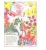 Book - Sticker Activity Book - Birds of the World