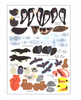 Book - Sticker Activity Book - Birds of the World