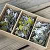 Puzzle - Woodcut Set of Three Puzzles