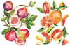 Watercolor Book - Fruits to Fish 15-minute Art Watercolour