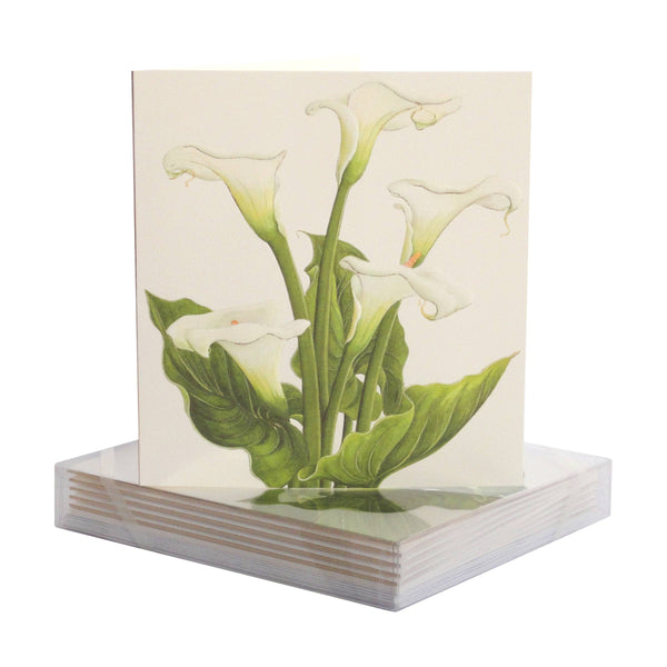Greeting Cards - Calla Lily Group Blank Card