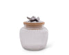 Canister - Olive Glass Canisters - Three Sizes