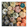Puzzles - Heirloom Pumpkins 1000 Piece Puzzle