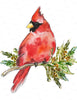 Hand Towel - Cardinal Kitchen Flour Sack Towel