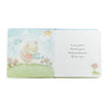 Book - Blossom Bunny's Hide and Seek Board Book