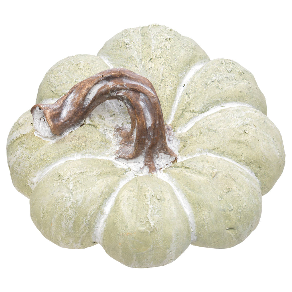 Pumpkin - Chalky Green Squat Pumpkin