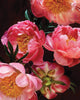 Notecards - Pretty Peonies Set of 20