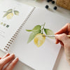 Watercolor - Fruit Watercolor Workbook
