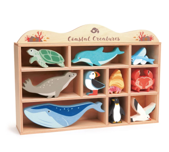 Coastal Creatures Set