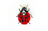 Trovelore Bugs & Beetles Brooches