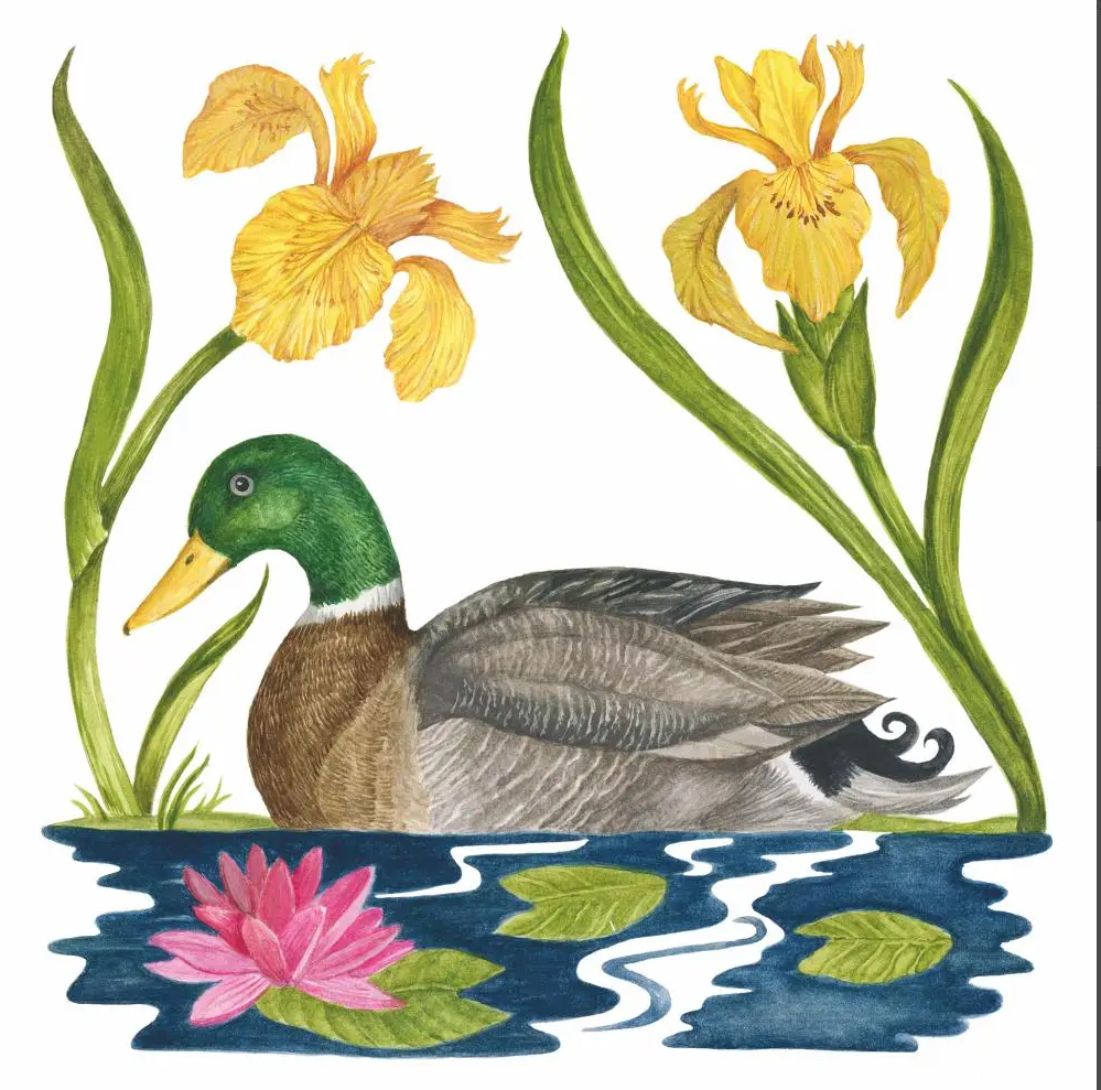 Beverage Napkins - Magnificent Mallard